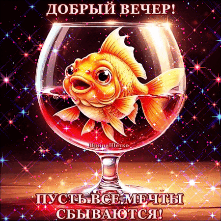 Открытка «Добрый вечер! Пусть все мечты сбываются!» с золотой рыбкой в бокале. Красивое пожелание доброго вечера и исполнения желаний для WhatsApp и Viber. Анимированная открытка Добрый вечер! Красочная поздравительная открытка с изображением золотой рыбки в бокале вина на фоне сверкающих звезд. На картинке расположены надписи на русском языке: «ДОБРЫЙ ВЕЧЕР!» вверху и «ПУСТЬ ВСЕ МЕЧТЫ СБЫВАЮТСЯ!» внизу