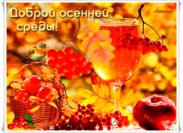 Уютная осенняя открытка «Доброй осенней среды!» с яблоками, рябиной и бокалом напитка. Красивое поздравление для теплого осеннего настроения. Анимированная открытка Доброй осенней среды! Уютная осенняя открытка с надписью «Доброй осенней среды!». На изображении представлен теплый натюрморт: бокал янтарного напитка, корзина спелых яблок, гроздья красной рябины и маленький птичий силуэт на фоне золотой осенней листвы