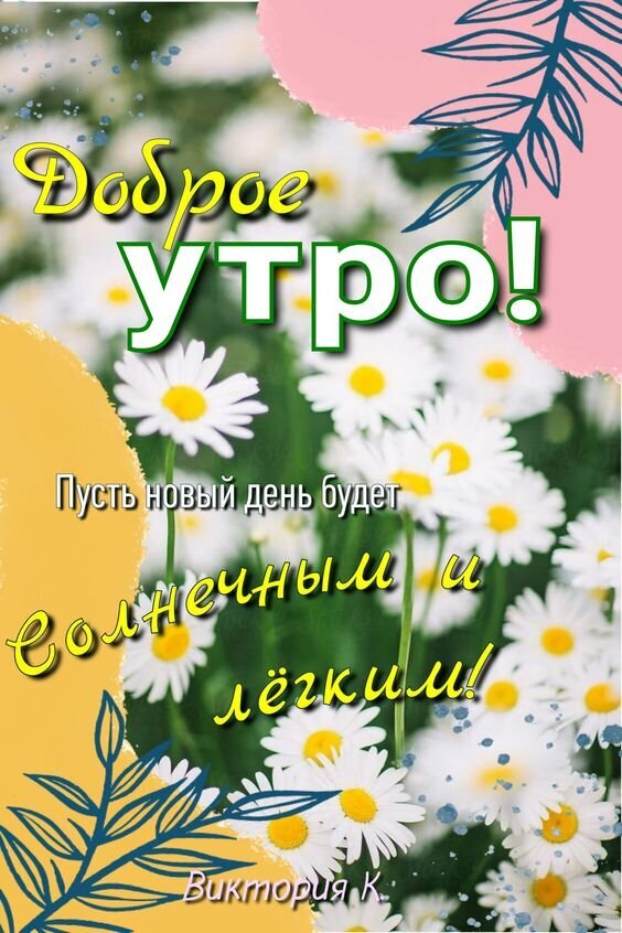 Поздравительная открытка «Доброе утро!»: поле белых ромашек и пожелание солнечного и легкого дня. Красивое изображение для хорошего настроения. Открытка Доброе утро! Пусть новый день будет солнечным и легким! Красочное поздравительное изображение с надписью «Доброе утро!». На фоне пышного поля белых ромашек с желтыми сердцевинами расположен текст: «Пусть новый день будет солнечным и легким!». Изображение украшено декоративными элементами в виде зеленых листьев и пастельных пятен розового и желтого цветов. Теплая, позитивная открытка, идеально подходящая для отправки близким, друзьям и коллегам в мессенджерах или социальных сетях для создания хорошего настроения с самого утра