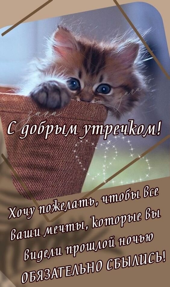 Милый котенок в корзинке с добрым пожеланием на утро: «Пусть все ваши сны сбываются!». Идеальная открытка для доброго утра и хорошего настроения. Открытка С добрым утречком! Милое изображение с пушистым котенком, выглядывающим из корзинки, и вдохновляющей надписью на русском языке. Текст гласит: «С добрым утречком! Хочу пожелать, чтобы все ваши мечты, которые вы видели прошлой ночью, обязательно сбылись!». Картинка идеально подходит для отправки друзьям и близким в качестве доброго пожелания доброго утра в мессенджерах и социальных сетях