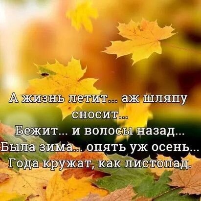Осенняя картинка с цитатой о быстротечности жизни и смене времен года на фоне летящих золотых кленовых листьев. Философская осенняя открытка. Открытка А жизнь летит Красивая осенняя картинка с золотыми кленовыми листьями и философской цитатой о скоротечности жизни. На изображении на фоне осеннего листопада наложен текст на русском языке: «А жизнь летит... аж шляпу сносит... Бежит... и волосы назад... Была зима... опять уж осень... Года кружат, как листопад»