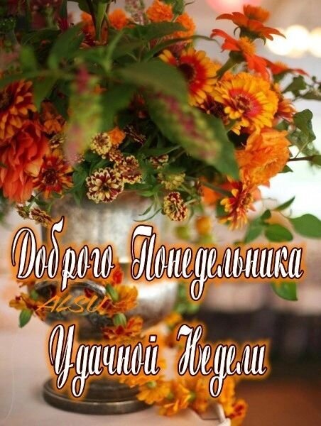 Поздравление с понедельником: яркий букет оранжевых цветов в вазе с надписью «Доброго понедельника, Удачной недели!» на украинском языке. Открытка Доброго Понедельника Удачной Недели Красивая поздравительная открытка с пышным букетом ярких оранжевых и желтых цветов (герберы, астры) в изящной серебристой вазе. На изображении нанесена надпись на украинском языке: «Доброго понедельника, Удачной недели!». Теплые осенние тона, уютная атмосфера и солнечный свет создают позитивное настроение для начала рабочей недели