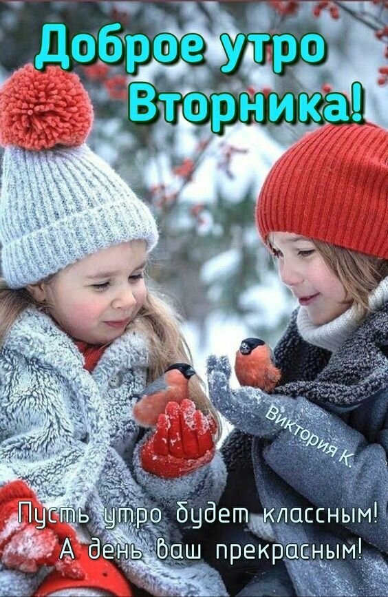 Доброе утро вторника! Красивая зимняя открытка с девочками и птичками. Пожелание классного утра и прекрасного дня для ваших близких. Открытка Доброе утро Вторника! Красивая поздравительная открытка с пожеланием доброго утра во вторник. На изображении две милые девочки в теплых зимних шапках и куртках смотрят на маленьких птичек, сидящих у них на руках. На фоне — заснеженный зимний пейзаж с красными ягодами