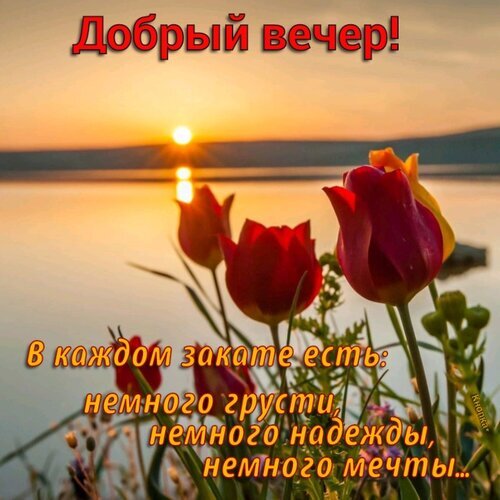 Открытка Добрый вечер! с закатом и красными тюльпанами. Душевные слова о надежде и мечтах на фоне красивого вечернего пейзажа. Открытка Добрый вечер. В каждом закате есть: грусть, надежды и мечты Красивая поздравительная открытка на вечер с закатом над озером и яркими красными тюльпанами на переднем плане. На изображении наложен текст на русском языке: 