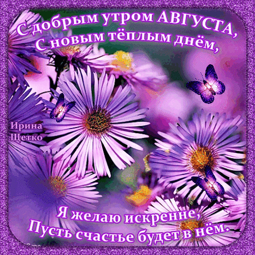 Доброе утро августа! Красивая открытка с фиолетовыми цветами и бабочками. Пожелание счастья и теплого дня в прекрасном сиреневом стиле. Анимированная открытка Доброе утро! Красочная поздравительная открытка на август с нежными фиолетовыми астрами и изящными бабочками. На изображении на русском языке написан добрый текст: «С добрым утром АВГУСТА, с новым теплым днем, я желаю искренне, пусть счастье будет в нем»