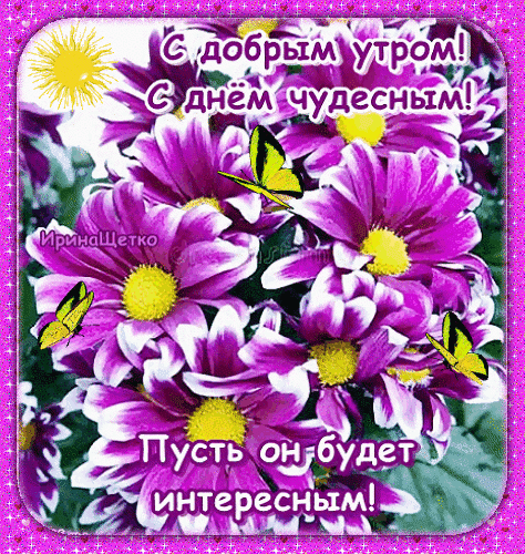 Красивая открытка «С добрым утром!» с фиолетовыми цветами, желтыми бабочками и солнцем. Яркое пожелание чудесного и интересного дня для близких. Анимированная открытка Доброе утро! Яркая и позитивная поздравительная открытка с надписью на русском языке «С добрым утром! С днем чудесным! Пусть он будет интересным!». На изображении представлен крупный план пышного букета фиолетовых хризантем с желтыми сердцевинами. По лепесткам цветов порхают изящные желтые бабочки, а в верхнем левом углу светит яркое солнце. Картинка оформлена в праздничной розовой рамке с блестками, создавая атмосферу радости, тепла и вдохновения для начала нового дня