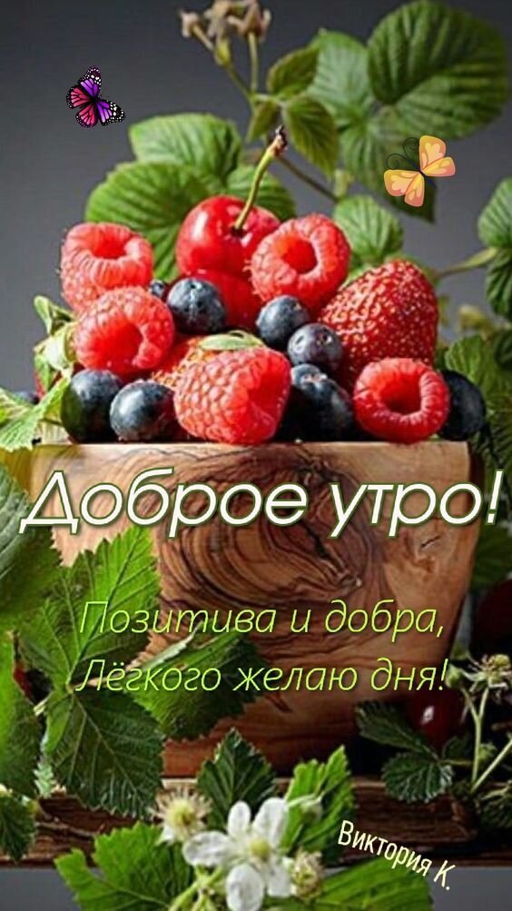 Доброе утро! Яркая открытка с сочными ягодами (малина, черника, клубника) и пожеланием позитива, добра и легкого дня. Идеально для утреннего настроения! Открытка Доброе утро! Позитива и добра! Красочная поздравительная открытка с надписью «Доброе утро!». На изображении представлена аппетитная композиция из свежих ягод: малины, ежевики, черники и клубники в деревянной чаше. Декор дополнен нежными бабочками и зеленью. Текст на русском языке гласит: «Позитива и добра, легкого желаю дня!». В нижнем углу указано имя автора — Виктория К