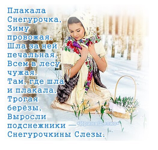 Душевная открытка с текстом о Снегурочке и подснежниках. Красивое изображение девушки в лесу, символизирующее приход весны и пробуждение природы. Открытка Последний день зимы! Красивая и эмоциональная открытка с изображением девушки в светлом платке, сидящей на снегу в лесу. На фоне — заснеженные березы и корзинка с подснежниками. На картинке нанесен поэтичный текст на русском языке о Снегурочке, которая плакала, провожая зиму, и из ее слез выросли подснежники. Изображение передает атмосферу пробуждения природы, нежности и светлой грусти