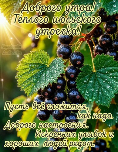 Доброе утро! Красивая открытка с черной смородиной и каплями росы. Пожелание теплого июльского утра, хорошего настроения и искренних улыбок. Открытка Доброго утра Красивое поздравительное изображение с крупным планом спелой черной смородины, покрытой капельками росы. На фоне сочной зелени и солнечного света наложен текст на русском языке с добрым пожеланием доброго утра, теплого июльского настроения, искренних улыбок и хороших людей рядом