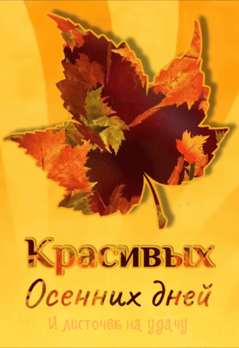 Осенняя иллюстрация с крупным кленовым листом на желтом фоне и надписью «Красивых Осенних дней и листочек на удачу». Теплые осенние цвета и уютная атмосфера. Анимированная открытка Красивых осенних дней и листочек на удачу Иллюстрация в осенней тематике, на которой изображен крупный кленовый лист с богатой текстурой теплых оттенков: золотистого, оранжевого и глубокого красного. Лист расположен на светлом желтом фоне с мягкими лучами, создающими атмосферу уюта и солнечного осеннего дня. В нижней части изображения расположен текст на русском языке: «Красивых Осенних дней и листочек на удачу», выполненный декоративным шрифтом с эффектом объема