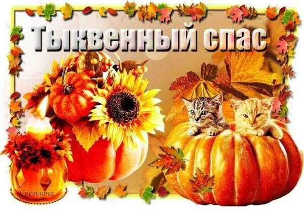 Осенняя открытка «Тыквенный Спас» с тыквами, подсолнухами и милыми котятами. Теплая праздничная композиция в золотых тонах для поздравлений с осенью. Открытка С тыквенным спасом Красочная осенняя открытка с надписью «Тыквенный Спас». На композиции изображены спелые оранжевые тыквы, яркие подсолнухи, осенние листья и зажженная свеча, создающая уютную атмосферу. Справа из большой тыквы выглядывают два очаровательных котенка. Теплые золотистые и оранжевые тона идеально передают настроение золотой осени, праздника урожая и домашнего тепла