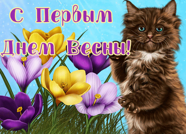 Праздничная открытка «С Первым Днем Весны!» с милым пушистым котенком и яркими весенними крокусами. Поздравление с началом весны. Анимированная открытка Первый день весны Красочная праздничная открытка, посвященная первому дню весны. На изображении представлен очаровательный пушистый котенок коричневого цвета, который радостно заглядывает в кадр. Композицию дополняют яркие весенние цветы — крокусы желтого и фиолетового оттенков на фоне нежно-голубого неба. Сверху нанесена праздничная надпись на русском языке: «С Первым Днем Весны!»