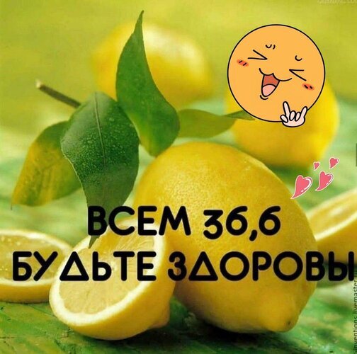 Позитивная открытка с лимонами и надписью «Всем 36,6 будьте здоровы». Яркое пожелание здоровья и бодрости для друзей и близких в соцсетях. Открытка Всем 36. 6 Яркая и позитивная открытка с изображением спелых желтых лимонов на зеленом фоне. На изображении присутствует забавный анимированный смайлик и надпись на русском языке: ВСЕМ 36,6 БУДЬТЕ ЗДОРОВЫ