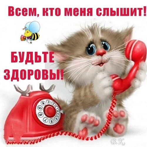 Милый котенок с телефоном желает всем здоровья! Позитивная картинка-открытка с надписью «Всем, кто меня слышит! Будьте здоровы!» для добрых пожеланий. Открытка Будьте здоровы! Милая и позитивная картинка с пушистым котенком, который держит красную телефонную трубку. На изображении крупным красным шрифтом написан текст на русском языке: Всем, кто меня слышит! Будьте здоровы!. Забавный котик и мультяшная пчелка создают доброе, жизнерадостное настроение