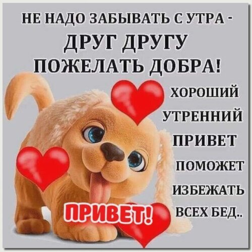 Доброе утро! Милая картинка с щенком и пожеланием добра. Идеальная утренняя открытка, чтобы поднять настроение друзьям и близким в мессенджерах. Открытка Привет Милая картинка с изображением очаровательного щенка с большими голубыми глазами и красными сердцами. На изображении наложен текст на русском языке: «Не надо забывать с утра - друг другу пожелать добра! Хороший утренний привет поможет избежать всех бед.. Привет!»