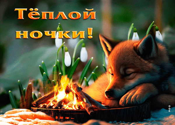 Милая открытка «Теплой ночки!» со спящим малышом у костра и подснежниками. Уютное изображение для добрых пожеланий спокойной ночи близким. Анимированная открытка Теплой ночки Уютная и теплая открытка с изображением спящего милого щенка (или лисенка) рядом с уютным костром. На фоне видны нежные подснежники, символизирующие весну. На картинке крупным золотистым шрифтом написано «Теплой ночки!». Изображение передает атмосферу спокойствия, домашнего уюта, тепла и нежности