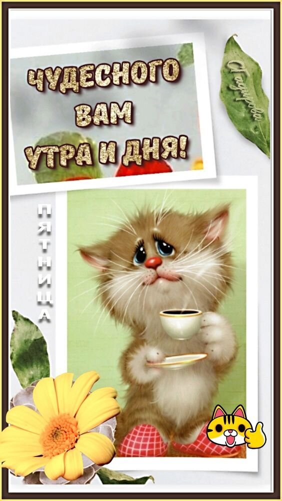 Милая открытка с котенком и чашкой кофе. Надпись: «Чудесного вам утра и дня!». Идеальное пожелание доброго утра и хорошего настроения для друзей и близких. Открытка Чудесного утра и дня! Милая открытка с изображением грустного, но очаровательного котенка, который держит чашку кофе. На картинке красуется вдохновляющая надпись на русском языке: 