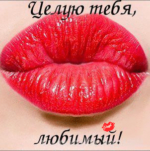 Романтичная картинка с ярко-красными губами и надписью «Целую тебя, любимый!». Идеально для признания в любви и виртуального поцелуя в мессенджерах. Анимированная открытка Поцелуй для любимого Крупный план ярко-красных, глянцевых женских губ с надписью на русском языке «Целую тебя, любимый!». Изображение выполнено в романтическом стиле, идеально подходит для отправки в качестве виртуального поцелуя, признания в любви или романтического сообщения любимому человеку