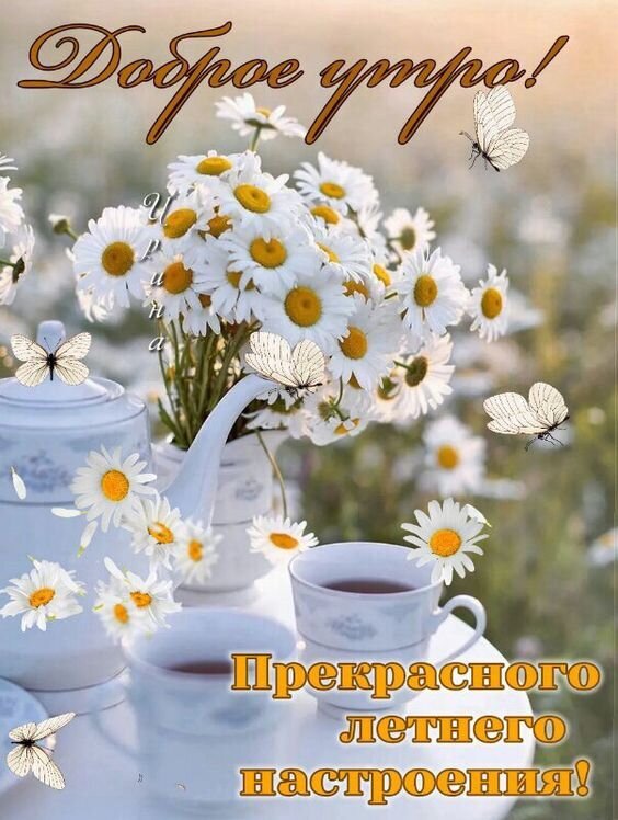 Открытка «Доброе утро!»: букет белых ромашек, чайник, чашка и летящие бабочки. Пожелание прекрасного летнего настроения в нежных светлых тонах. Открытка Доброе утро! Прекрасного летнего настроения! Красивая поздравительная открытка с надписью «Доброе утро! Прекрасного летнего настроения!». На изображении представлен пышный букет белых ромашек с желтыми сердцевинами в вазе, рядом стоит изящный белый чайник и чашка с ароматным напитком. Композицию дополняют летящие белые бабочки, создающие атмосферу легкости и весенне-летнего тепла