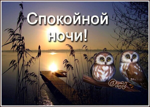 Уютная открытка «Спокойной ночи!» с изображением двух сов на фоне живописного заката у воды и камышей. Идеально для добрых пожеланий близким. Открытка Спокойной ночи! Красивая поздравительная открытка с надписью «Спокойной ночи!». На изображении запечатлен уютный вечерний пейзаж: закат над спокойной водой, камыши на переднем плане и деревянный пирс. Главными героями композиции являются две милые совы, сидящие на ветке. Мягкое освещение заходящего солнца создает атмосферу умиротворения, тепла и покоя