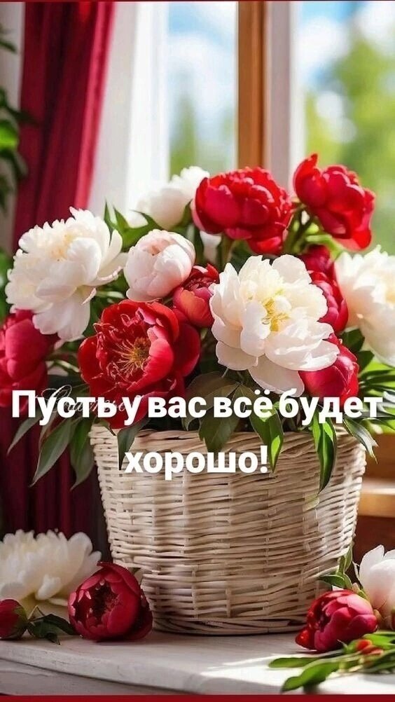 Красивая открытка с букетом красных и белых пионов в корзине и добрым пожеланием: «Пусть у вас все будет хорошо!» для позитивного настроения. Открытка Пусть все будет хорошо Красивая и вдохновляющая открытка с пышным букетом красных и белых пионов в плетеной корзине. Цветы стоят на подоконнике на фоне светлого окна, создавая атмосферу уюта и весеннего тепла. На изображении нанесена мотивирующая надпись на русском языке: «Пусть у вас все будет хорошо!»