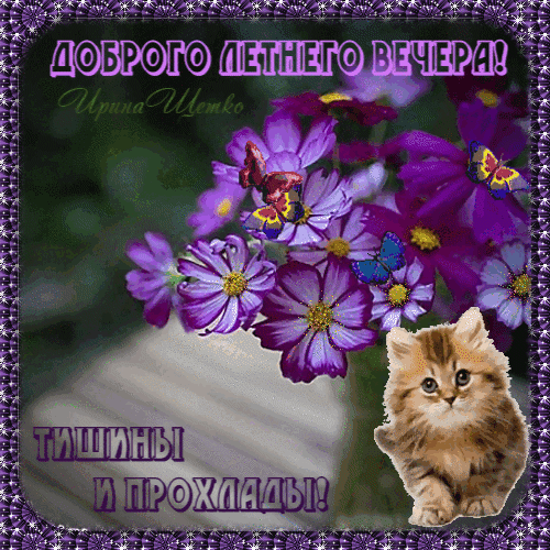 Открытка «Доброго летнего вечера! Тишины и прохлады!» с фиолетовыми цветами, бабочками и милым рыжим котенком. Красивое летнее пожелание для близких. Анимированная открытка Доброго, летнего вечера! Красивая поздравительная открытка с надписью «Доброго летнего вечера! Тишины и прохлады!». На изображении нежные фиолетовые цветы с бабочками и милый рыжий котенок