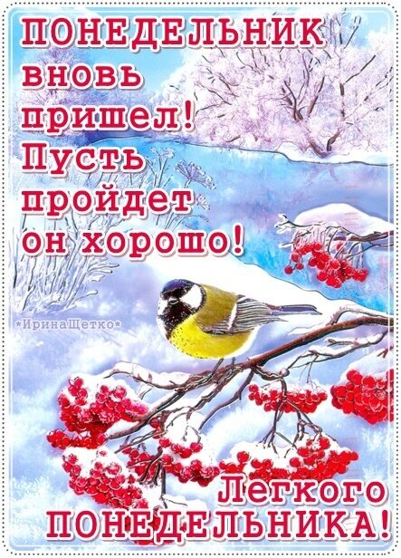 Поздравительная открытка на понедельник: зимний пейзаж с рябиной и птичкой. Надпись: «Пусть понедельник пройдет хорошо! Легкого понедельника!» Открытка Понедельник вновь пришел! Пусть пройдет он хорошо! Красочная поздравительная открытка на понедельник с зимним пейзажем. На изображении заснеженные ветки рябины с ярко-красными ягодами и маленькая птица синица, сидящая на ветке. На фоне — пушистые заснеженные деревья и мягкое зимнее небо. Текст на русском языке гласит: ПОНЕДЕЛЬНИК вновь пришел! Пусть пройдет он хорошо! ЛЕГКОГО ПОНЕДЕЛЬНИКА!
