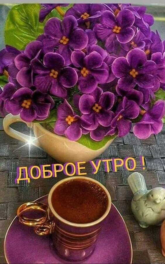 Уютная открытка «Доброе утро!» с букетом фиолетовых фиалок и чашкой ароматного кофе. Красивое изображение для позитивного начала дня и добрых пожеланий. Открытка Доброе утро! Красивая открытка с пожеланием доброго утра. На изображении представлен пышный букет ярко-фиолетовых фиалок в светлой чашке, расположенный рядом с чашкой горячего кофе на фиолетовом блюдце. Композиция дополнена милой декоративной фигуркой птички. Атмосферное и уютное фото, создающее позитивное настроение для начала дня