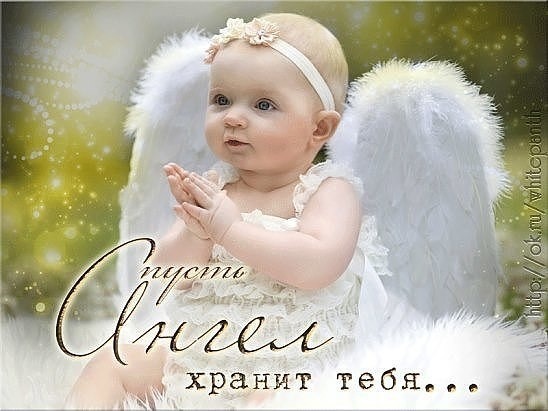 Милый ангелочек с крыльями и надписью «Пусть Ангел хранит тебя...». Нежная открытка для добрых пожеланий, благословения и духовной поддержки. Открытка Пусть Ангел хранит тебя... Милое и нежное изображение младенца в образе ангела с белоснежными крыльями. Ребенок одет в кружевной наряд, руки сложены в молитвенном жесте. На фоне мягкое золотистое сияние и мерцающие огоньки, создающие сказочную, божественную атмосферу. На картинке размещена красивая каллиграфическая надпись на русском языке: Пусть Ангел хранит тебя...