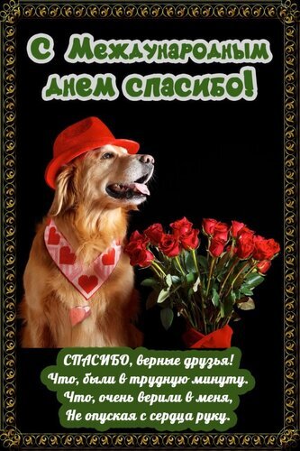 Открытка к Международному дню «Спасибо!» с золотистым ретривером, красными розами и трогательным пожеланием верным друзьям. Открытка С международным днем спасибо! Праздничная открытка, посвященная Международному дню «Спасибо!». На темном фоне изображен золотистый ретривер в красной шляпе и с нагрудником в форме сердец, смотрящий в сторону букета пышных красных роз. В верхней части надпись: «С Международным днем СПАСИБО!», а внизу трогательное стихотворение о верных друзьях, которые были рядом в трудную минуту. Изображение оформлено в классическую золотую рамку
