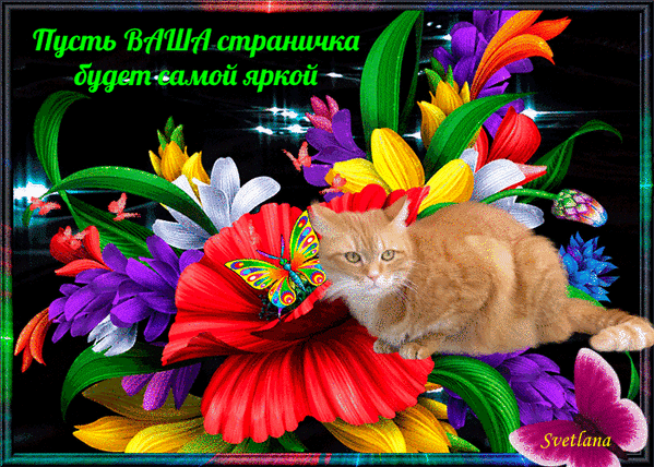 Красочная открытка с рыжим котом, яркими цветами и бабочкой. Надпись: Пусть ВАША страничка будет самой яркой. Идеально для поздравлений в соцсетях. Анимированная открытка Пусть ВАША страничка будет самой яркой Яркая и позитивная открытка с рыжим котом и пышным букетом разноцветных цветов. На изображении крупный красный цветок, экзотические растения и красивая бабочка. В верхней части расположена поздравительная надпись на русском языке: 