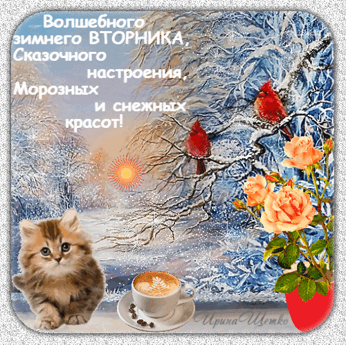 Сказочная открытка на зимний вторник: пушистый котенок, кофе, красные птицы и зимний пейзаж. Пожелание волшебного настроения и снежных красот! Анимированная открытка Волшебного зимнего Вторника, Сказочного настроения, Морозных и снежных красот! Красочная поздравительная открытка для зимнего вторника. На изображении заснеженный зимний пейзаж с ветками деревьев, на которых сидят ярко-красные птицы. В композиции присутствуют милый пушистый котенок, чашка ароматного кофе с пенкой и нежные оранжевые розы в вазе. Атмосферная картинка передает сказочное зимнее настроение, уют и волшебство морозного дня