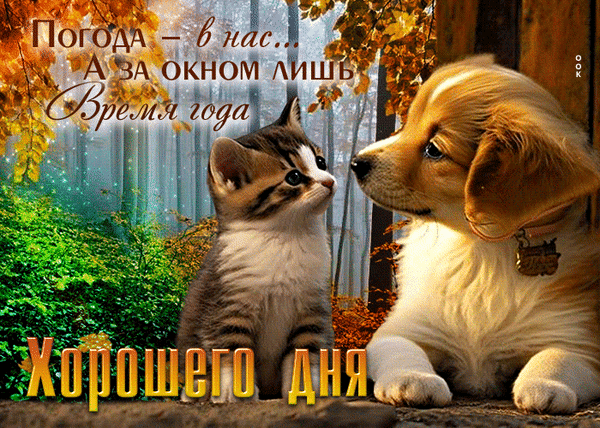 Милая открытка с котенком и щенком на фоне осени. Пожелание «Хорошего дня» и вдохновляющая цитата о внутреннем настроении. Теплая осенняя картинка. Анимированная открытка Погода - в нас… А за окном лишь Время года Милая и теплая открытка с изображением котенка и щенка, сидящих вместе на фоне осеннего леса. На картинке наложен вдохновляющий текст на русском языке: «Погода — в нас... А за окном лишь время года» и пожелание «Хорошего дня»