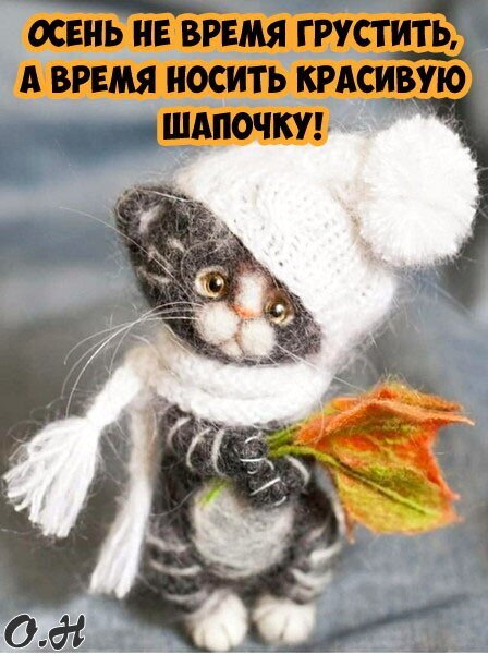 Милый пушистый котенок в белой шапочке и шарфе с осенним листом. Оптимистичная цитата про осень. Уютная картинка для настроения и соцсетей. Открытка Осень не время грустить, а время носить красивую шапочку! Милое изображение декоративной игрушки — реалистичного пушистого котенка, выполненного в технике валяния из шерсти. Котенок одет в уютную белую вязаную шапочку с помпоном и белый шарф. В лапках он держит яркий осенний лист. На картинке расположен вдохновляющий текст на русском языке: «Осень — не время грустить, а время носить красивую шапочку!». Изображение передает атмосферу уюта, тепла и осеннего настроения