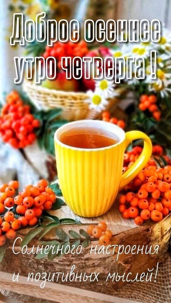 Доброе осеннее утро четверга! Уютная открытка с чашкой чая и ягодами рябины для отличного настроения и позитивных мыслей в этот осенний день. Открытка Доброе осеннее утро Четверга! Уютная осенняя открытка с надписью «Доброе осеннее утро четверга! Солнечного настроения и позитивных мыслей!». На изображении представлена желтая кружка с ароматным чаем, окруженная яркими оранжевыми ягодами рябины и полевыми цветами. Теплая и светлая композиция, создающая атмосферу комфорта, осеннего уюта и позитивного настроя на новый день