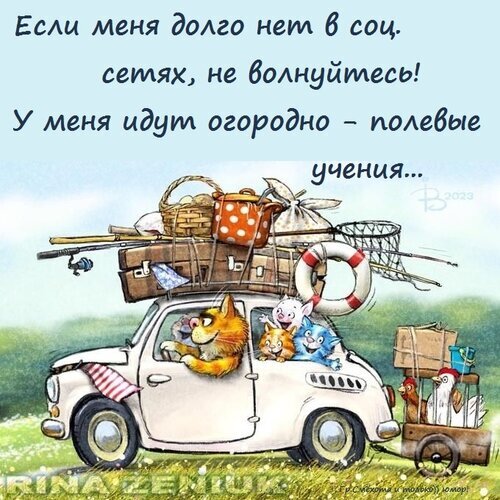 Смешной мем про дачный сезон: Если меня долго нет в соцсетях, у меня идут огородно-полевые учения. Юмористическая иллюстрация с котами и машиной. Открытка Огородно полевые учения Юмористическая картинка-мем с забавным рисунком: белый автомобиль, перегруженный вещами (корзины, удочки, спасательный круг), в котором едут коты. Текст на русском языке гласит: 