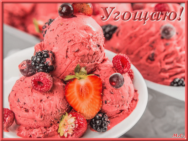 Вкусное розовое ягодное мороженое со свежей клубникой, малиной и ежевикой. Идеальный летний десерт на фото. Анимированная открытка Угощаю! Аппетитное розовое ягодное мороженое в белой тарелке, украшенное свежими ягодами: клубникой, малиной и ежевикой. Сочное десертное фото, передающее вкус лета и прохлады