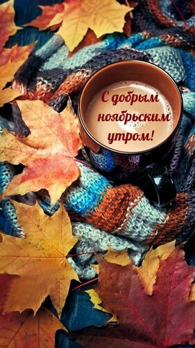 Уютная открытка «С добрым ноябрьским утром!»: чашка кофе, теплый плед и осенние кленовые листья. Идеальное осеннее поздравление для соцсетей. Открытка С добрым ноябрьским утром! Уютная осенняя открытка с надписью «С добрым ноябрьским утром!». На изображении чашка горячего кофе или какао, расположенная на мягком вязаном пледе, окруженная яркими кленовыми листьями золотистых и багряных оттенков. Атмосферное фото передает тепло, комфорт и эстетику ноября