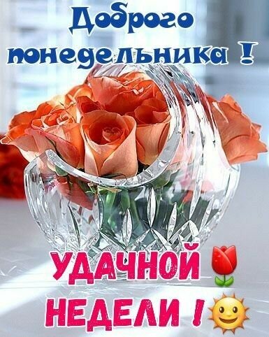 Открытка «Доброго понедельника и удачной недели!» с букетом оранжевых роз в вазе. Красивое пожелание для начала рабочей недели в WhatsApp и соцсетях. Открытка Доброго понедельника! Удачной недели! Красивая поздравительная открытка с букетом нежных оранжевых роз в хрустальной вазе. На изображении расположены надписи на русском языке: «Доброго понедельника!» и «Удачной недели!». Декор дополнен яркими эмодзи солнца и тюльпана