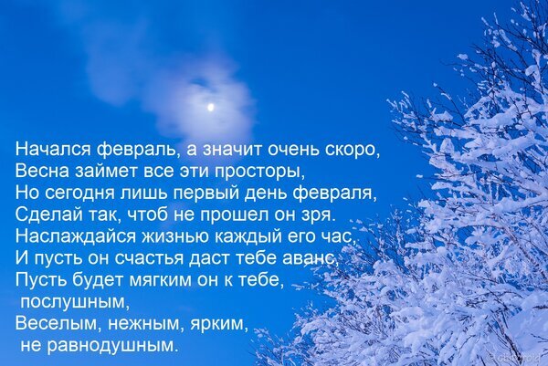 Красивая открытка с пожеланием на первый день февраля. Заснеженные деревья, синее небо и вдохновляющие стихи для хорошего настроения. Открытка Начался февраль, а значит очень скоро, Весна займет все эти просторы, Но сегодня лишь первый день фе Красивое поздравительное изображение с зимним пейзажем: заснеженные ветви деревьев на фоне яркого синего неба и мягкого солнечного света. На картинке наложен текст в стихах на русском языке, посвященный началу февраля. Поэтическое пожелание сделать этот месяц ярким, нежным и счастливым Красивая открытка с пожеланием на первый день февраля. Заснеженные деревья, синее небо и вдохновляющие стихи для хорошего настроения. Открытка Начался февраль, а значит очень скоро, Весна займет все эти просторы, Но сегодня лишь первый день фе Красивое поздравительное изображение с зимним пейзажем: заснеженные ветви деревьев на фоне яркого синего неба и мягкого солнечного света. На картинке наложен текст в стихах на русском языке, посвященный началу февраля. Поэтическое пожелание сделать этот месяц ярким, нежным и счастливым