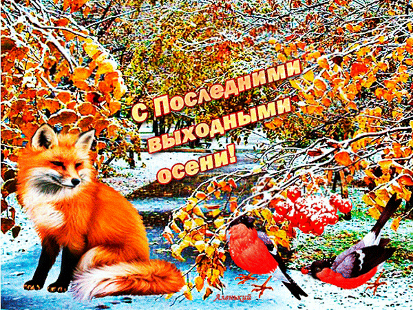 Осенняя открытка с рыжей лисицей, рябиной и надписью С последними выходными осени!. Красочное поздравление с завершением сезона. Анимированная открытка С Последними выходными осени! Красочная поздравительная открытка к последним выходным осени. На изображении запечатлена рыжая лисица с пушистым хвостом, сидящая на фоне осеннего леса. Вокруг золотисто-оранжевые листья и ярко-красные ягоды рябины, припорошенные легким снежным инеем. В нижней части композиции видны две яркие птицы. Поверх картинки нанесена праздничная надпись на русском языке: 