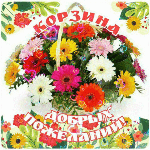 Красочная открытка «Корзина добрых пожеланий!» с ярким букетом разноцветных гербер и сердечками. Идеальное виртуальное поздравление для близких. Анимированная открытка Корзина добрых пожеланий Яркая и праздничная открытка с пышной корзиной разноцветных гербер. В букете сочетаются белые, розовые, красные, желтые и оранжевые цветы, дополненные зелеными листьями. На изображении присутствует красивая надпись на русском языке: «Корзина добрых пожеланий!». Декор дополнен романтичными маленькими сердечками и цветочным орнаментом по краям