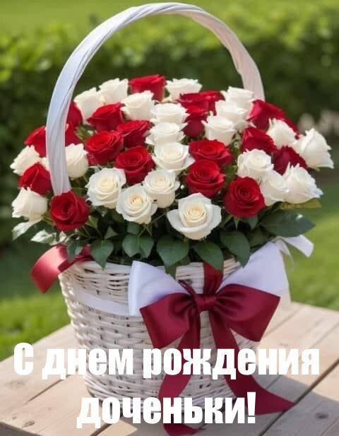 Букет красных и белых роз в корзине с надписью «С днем рождения доченьки!». Красивая открытка для поздравления любимой дочери с днем рождения. Открытка С днем рождения доченьки! Красивый и нежный букет из красных и белых роз в белой плетеной корзине с пышным бордовым бантом. Идеальное поздравительное изображение с надписью на русском языке: «С днем рождения доченьки!». Цветы символизируют любовь, чистоту и восхищение