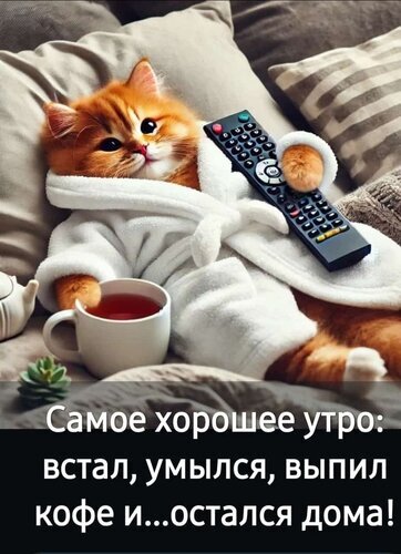 Мем с рыжим котенком в халате с пультом и чашкой кофе. Надпись: «Самое хорошее утро: встал, умылся, выпил кофе и...остался дома!» Открытка Самое хорошее утро Смешная и уютная картинка-мем с рыжим котенком, который отдыхает в белом махровом халате на диване. Котенок держит пульт от телевизора, а рядом стоит чашка горячего напитка. На изображении наложен текст на русском языке: «Самое хорошее утро: встал, умылся, выпил кофе и...остался дома!» Мем с рыжим котенком в халате с пультом и чашкой кофе. Надпись: «Самое хорошее утро: встал, умылся, выпил кофе и...остался дома!» Открытка Самое хорошее утро Смешная и уютная картинка-мем с рыжим котенком, который отдыхает в белом махровом халате на диване. Котенок держит пульт от телевизора, а рядом стоит чашка горячего напитка. На изображении наложен текст на русском языке: «Самое хорошее утро: встал, умылся, выпил кофе и...остался дома!»