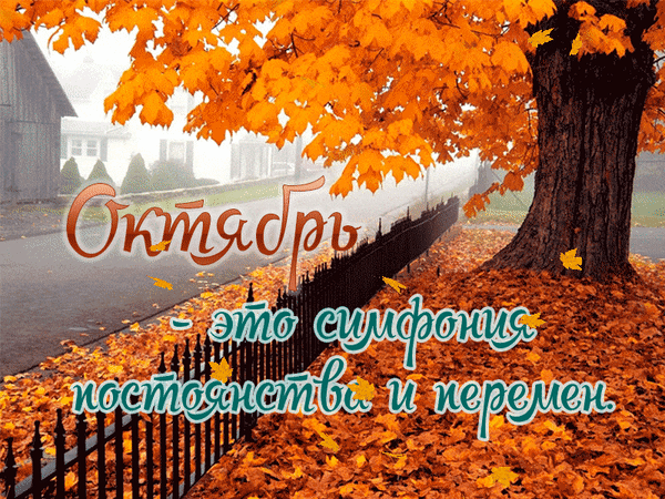 Осенний пейзаж с оранжевыми листьями и цитатой: «Октябрь — это симфония постоянства и перемен». Красивая осенняя открытка для настроения. Анимированная открытка Октябрь - это симфония постоянства и перемен Красочное осеннее изображение с пышным деревом, покрытым ярко-оранжевой листвой. На переднем плане видна тропинка и забор, усыпанные опавшими листьями. На картинке нанесен текст на русском языке: «Октябрь — это симфония постоянства и перемен». Атмосферный пейзаж, передающий уют и меланхолию золотой осени