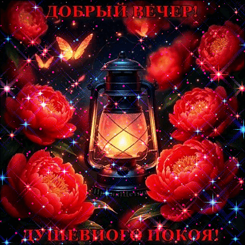 Красивая открытка с фонариком и красными пионами. Пожелание доброго вечера и душевного покоя. Уютная и волшебная картинка для близких. Анимированная открытка Добрый вечер! Красивая поздравительная открытка с пожеланием доброго вечера и душевного покоя. На изображении представлен уютный старинный фонарь, излучающий теплый свет, в окружении пышных ярко-красных пионов. Композиция дополнена мерцающими искрами и волшебными бликами, создающими атмосферу магии и уюта Красивая открытка с фонариком и красными пионами. Пожелание доброго вечера и душевного покоя. Уютная и волшебная картинка для близких. Анимированная открытка Добрый вечер! Красивая поздравительная открытка с пожеланием доброго вечера и душевного покоя. На изображении представлен уютный старинный фонарь, излучающий теплый свет, в окружении пышных ярко-красных пионов. Композиция дополнена мерцающими искрами и волшебными бликами, создающими атмосферу магии и уюта