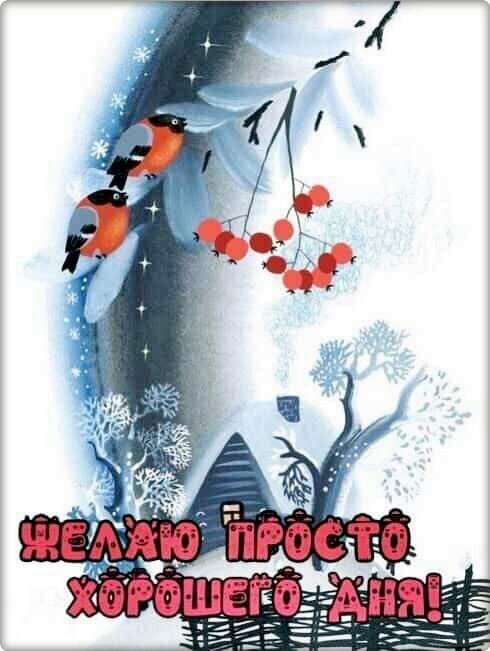 Зимняя открытка со снегирями, ягодами и заснеженным домиком. Пожелание на украинском: Желаю просто хорошего дня!. Красивое зимнее настроение для мессенджеров. Открытка Желаю просто хорошего дня! Красочная зимняя открытка с изображением двух ярких снегирей на заснеженной ветке рядом с гроздью красных ягод. На заднем плане виден уютный заснеженный домик и зимний пейзаж в мягких голубых и белых тонах. В нижней части картинки расположена праздничная надпись на украинском языке: 