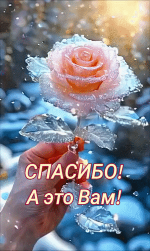 Открытка с нежной розовой розой в росе и надписью «СПАСИБО! А это Вам!». Идеальная картинка для выражения благодарности и добрых пожеланий. Анимированная открытка Спасибо! А это вам! Красивое и нежное изображение нежно-розовой розы, покрытой сверкающими капельками росы или инея. Рука бережно держит цветок на фоне мягкого размытого фона с эффектом боке. На картинке расположен поздравительный текст на русском языке: «СПАСИБО! А это Вам!»