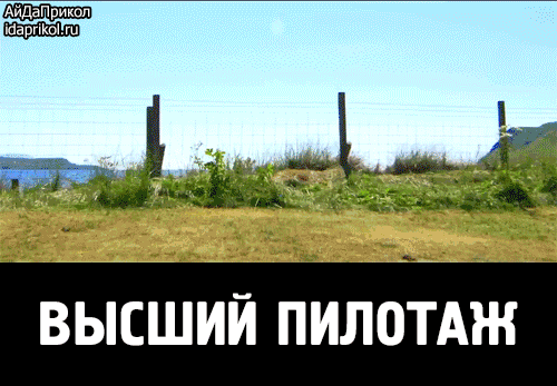 Смешной мем с надписью «ВЫСШИЙ ПИЛОТАЖ» на фоне сельского пейзажа с забором и травой. Юмористическая картинка для соцсетей и развлечений. Анимированная открытка Высший пилотаж Смешная и абсурдная картинка-мем с надписью «ВЫСШИЙ ПИЛОТАЖ». На изображении представлен сельский пейзаж: травянистый склон, забор с деревянными столбами и вид на дальние холмы под ясным небом. Контрастная черно-белая плашка с крупным текстом внизу создает комический эффект, подчеркивая иронию ситуации