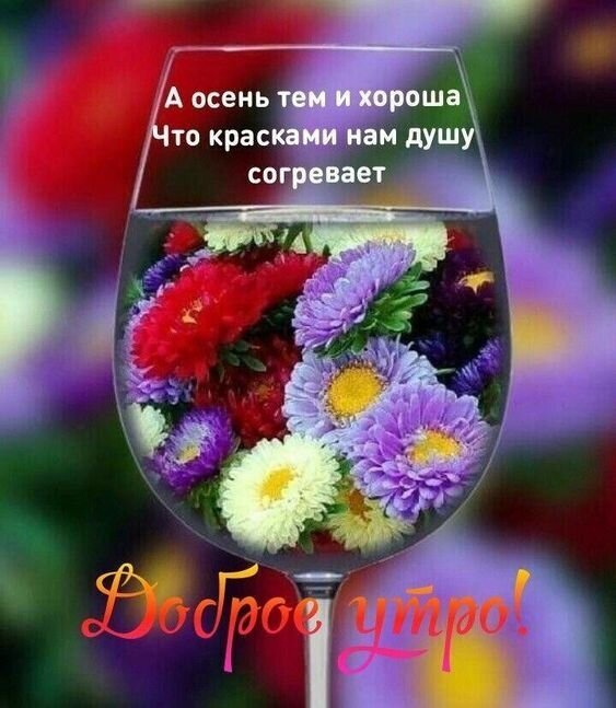 Красивая картинка «Доброе утро» с осенними цветами в бокале и душевным стихотворением про краски осени. Идеально для доброго осеннего настроения! Открытка А осень тем и хороша Что красками нам душу согревает Доброе утро! Эстетичное поздравительное изображение к осеннему утру. На картинке изображен изящный бокал, наполненный яркими осенними цветами (астрами) фиолетовых, красных и белых оттенков. На фоне — мягкая размытая осенняя палитра. Текст на русском языке гласит: «А осень тем и хороша, что красками нам душу согревает» и приветствие «Доброе утро!» Красивая картинка «Доброе утро» с осенними цветами в бокале и душевным стихотворением про краски осени. Идеально для доброго осеннего настроения! Открытка А осень тем и хороша Что красками нам душу согревает Доброе утро! Эстетичное поздравительное изображение к осеннему утру. На картинке изображен изящный бокал, наполненный яркими осенними цветами (астрами) фиолетовых, красных и белых оттенков. На фоне — мягкая размытая осенняя палитра. Текст на русском языке гласит: «А осень тем и хороша, что красками нам душу согревает» и приветствие «Доброе утро!»